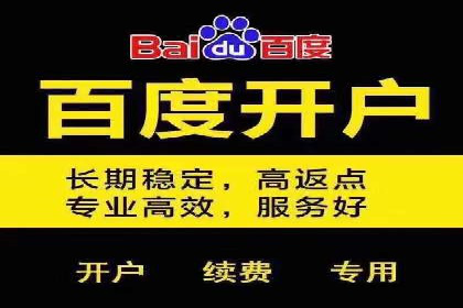 Sem优化公司成功案例：快速占领市场